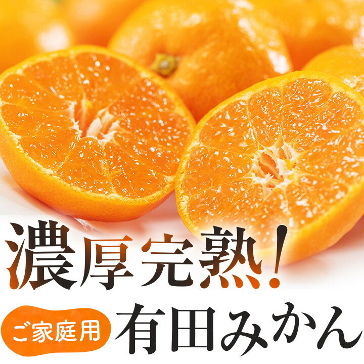 [先行予約] 有田育ちのご家庭用完熟 有田みかん 5kg 容量・配送時期が選べる!※着日指定不可 ※北海道・沖縄・離島配送不可