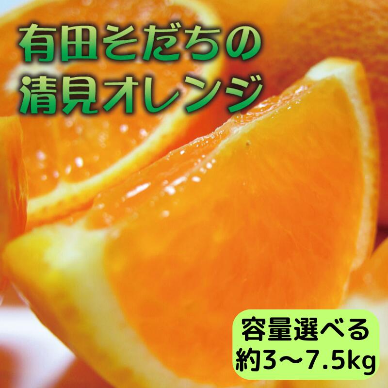 商品詳細 名称： 有田育ちの完熟清見オレンジ(ご家庭用) 内容量： 約3kg/約5kg/約7.5kg/サイズ混合/ご家庭用選別 賞味期限： 出荷日より7日 保存方法： 直射日光の当たらない、風通しの良い冷暗所で保存。 配送温度帯： 常温 製造者もしくは販売者 有田マルシェ 提供 有田マルシェ 返礼品発送元 有田マルシェ 注意事項： 商品が到着致しましたらすぐに開封後、できるだけ涼しいところで保管頂きお早めにお召し上がりください。 ※事前にお申し出がなく、長期不在等によりお礼の品をお受取りできなかった場合、再発送はできません。あらかじめご了承くださいませ。 出荷の際検品後発送しておりますが、万一商品に問題がございましたら破棄やお召し上がりになる前にご連絡ください。 ※到着予定日から、3日以上経過したものや、破棄されたものにつきましては、ご対応することが出来ませんのであらかじめご了承ください。 ※誠に申し訳ございませんが、北海道・沖縄・離島へのお礼品の配送はお受けできません。 柑橘類の栽培が盛んな和歌山有田地域は、温暖で降水量も少なく、柑橘類の栽培に適した地域です。 そんな有田地域で収穫された清見オレンジは、春のみかん類の代表的な品種で、甘みと酸味のバランスが良く、みずみずしいオレンジです。 暖かくなる春にピッタリな果汁たっぷりのこだわりの清見オレンジを是非ご賞味ください。 ・風擦れなどで外皮に傷がついていたり、形がユニークだったり、見栄えやサイズが混合などの理由でご家庭用となっております。 ・生育状況により、お届け時期が多少前後する場合がございます。 ・到着後は箱から取り出し、冷蔵庫などで冷やし、できるだけお早めにお召し上がりください。 ・画像はイメージです。 ・誠に申し訳ございませんが、北海道・沖縄・離島へのお礼品の配送はお受けできません。 【こちらのお礼品は広川町との共通返礼品となります。】 〈市町村共通返礼品〉平成31年総務省告示第179号第5条第8号イ「市区町村が近隣の他の市区町村と共同で前各号いずれかに該当するものを共通の返礼品等とするもの」に該当する返礼品として、和歌山県内で合意した市町村間で出品しているものです。 ・ふるさと納税よくある質問は こちら ・寄附申込みのキャンセル、返礼品の変更・返品はできません。あらかじめご了承ください。【注文内容確認画面の「注文者情報」を寄附者の住民票情報とみなします】 ・必ず氏名・住所が住民票情報と一致するかご確認ください。 ・受領書は住民票の住所に送られます。 ・返礼品を住民票と異なる住所に送付したい場合、注文内容確認画面の「送付先」に返礼品の送付先をご入力ください。 ※「注文者情報」は楽天会員登録情報が表示されますが、正確に反映されているかご自身でご確認ください。