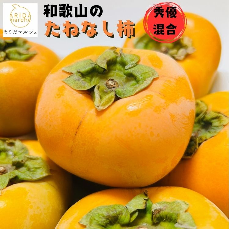 【ふるさと納税】和歌山のたねなし柿...