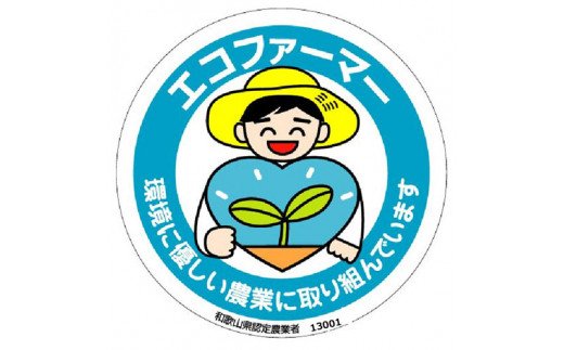 【ふるさと納税】【県認定エコファーマー】あんぽ柿用生渋柿（平たねなし柿） 約14.5〜15kg-AP【10月下旬から順次発送】 / フルーツ 果物 くだもの 柿