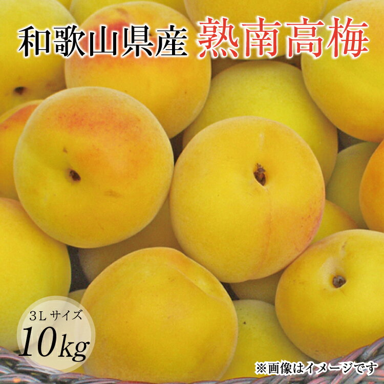 [梅干し・梅酒用]熟南高梅(生梅)3Lサイズ約10kg[6月中旬から順次発送] (お届け日指定不可) / 梅 梅干 梅酒 青梅