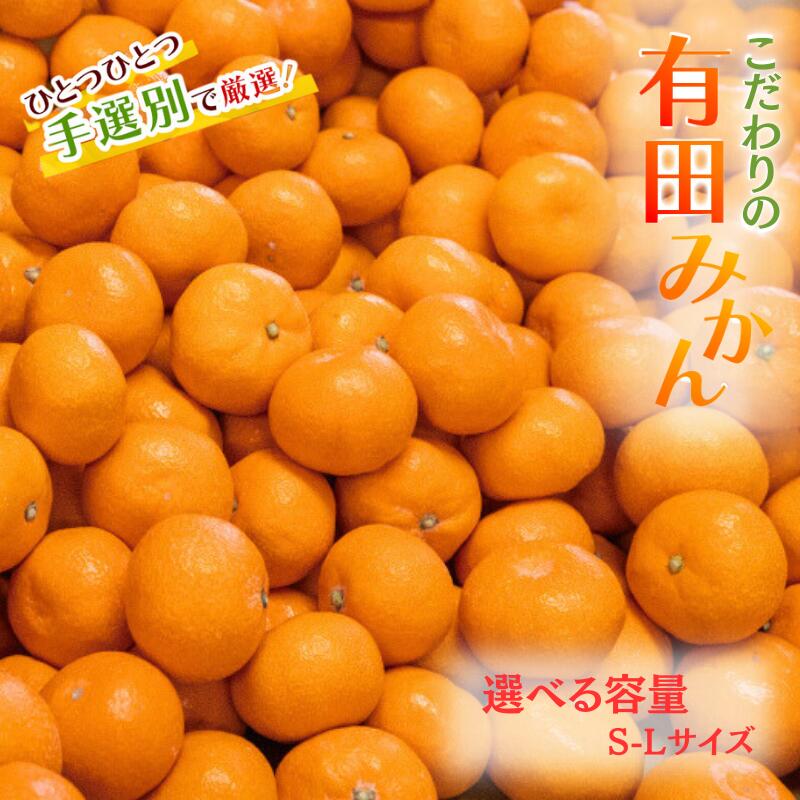 有田みかん 先行予約 こだわりの和歌山県産有田みかん [選べる容量] [3kg 5kg](S〜Lサイズ) ひとつひとつ手選別で厳選!生産者から直送 [2025年11月下旬〜2026年1月中旬頃に順次発送分]/ みかん フルーツ 果物 くだもの 蜜柑 柑橘