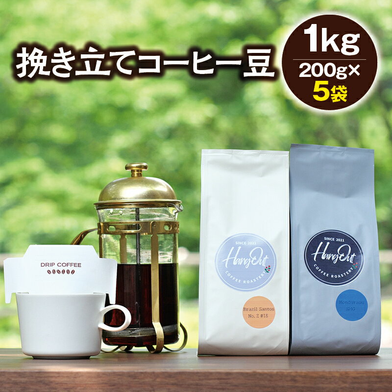 ＼挽き方選べる/挽き立てコーヒー豆 5袋1kgセット / コーヒー コーヒー豆 珈琲 珈琲豆 ドリップ 1kg セット ドリップコーヒー