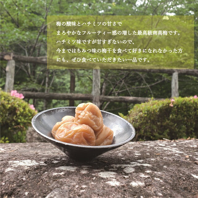 【ふるさと納税】【贈答用】最高級紀州南高梅大粒・はちみつ梅干し 1kg【化粧箱タイプ】 / 梅干し 梅 梅干 はちみつ 蜂蜜 ギフト
