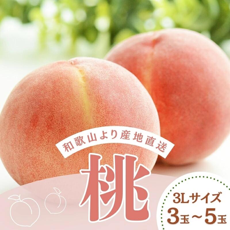 ※先行予約受付 和歌山県産の桃 3Lサイズ(3玉〜5玉)[2025年6月中旬頃から8月上旬頃順次発送予定] / 和歌山 もも 桃 甘い ギフト 贈り物 プレゼント 夏ギフト 果物 フルーツ 人気 産地直送 和歌山県 お取り寄せ