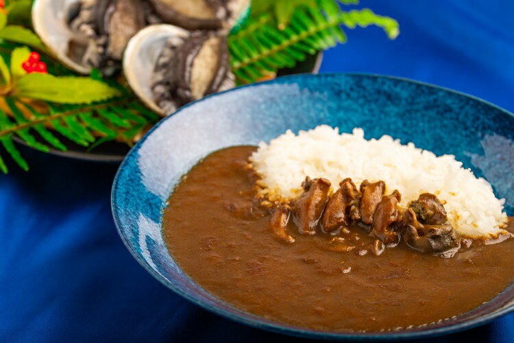 和歌山のアワビ屋さんがつくったあわびカレー [170g×3袋][日付指定OK] / カレー カレーライスあわび あわびカレー