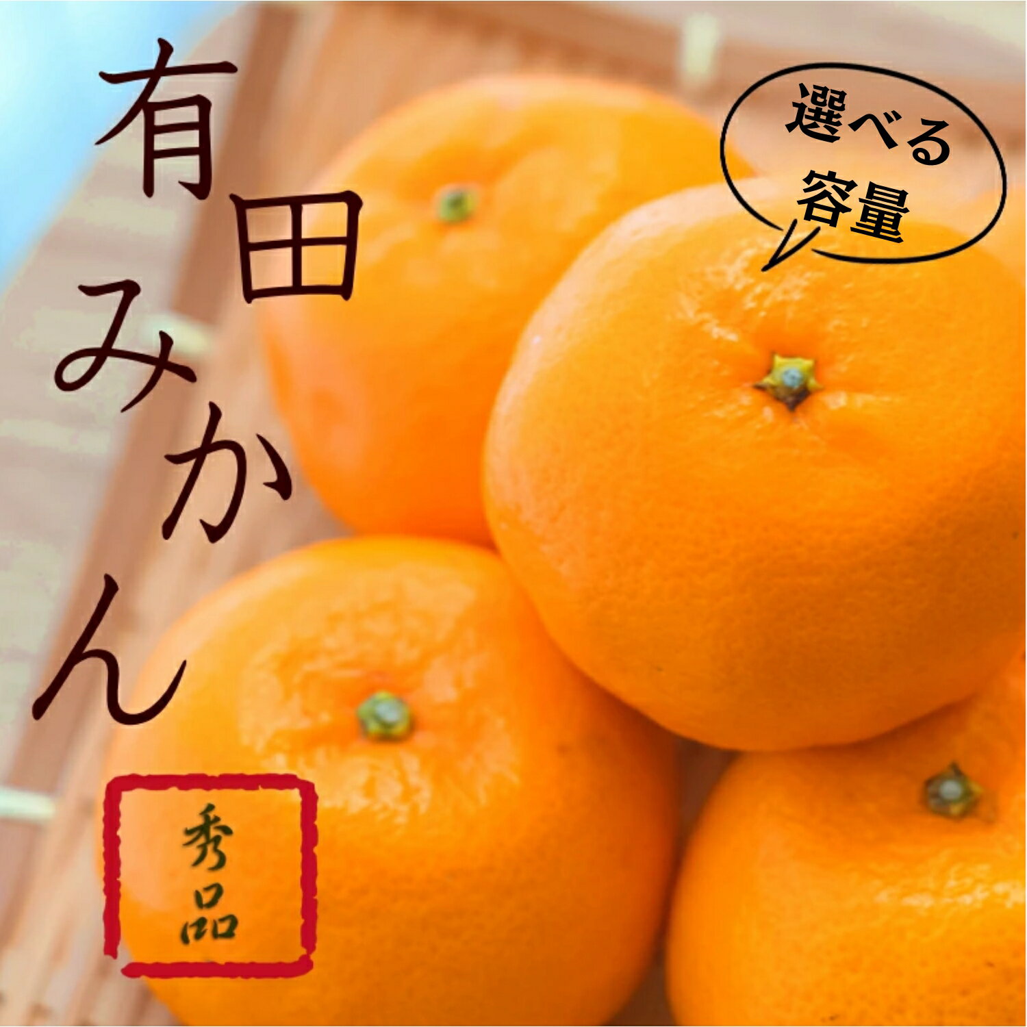 紀州有田みかん 秀品 選べる容量 サイズおまかせ(L・М・S) 2025年11月下旬〜2026年1月中旬ごろに順次発送予定 / ミカン 柑橘 みかん 有田みかん 和歌山