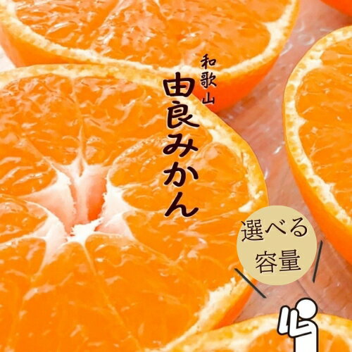 和歌山由良みかん 秀品 選べる容量 サイズおまかせ(L・М・S) いずれかお届け / サイズ混合 ミカン 柑橘 みかん 和歌山