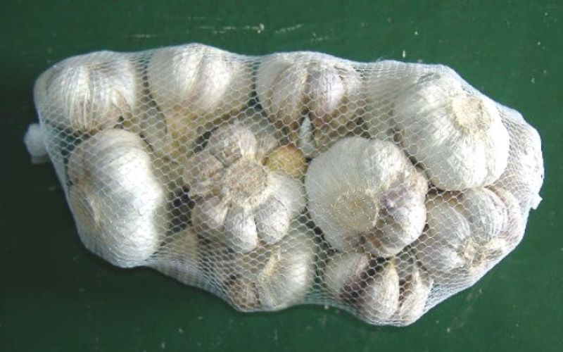 【ふるさと納税】由良町産にんにく 優品 約1.8kg (900g×2) M～Lサイズ / にんにく ニンニク 野菜 やさい 食品 ※2025年4月下旬～5月上旬頃順次発送予定