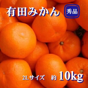 【ふるさと納税】紀州有田みかん　秀品 約10kg　 2Lサイ