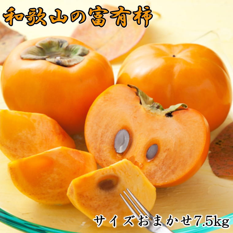 [甘柿の王様]和歌山産富有柿約7.5kgサイズおまかせ※2025年11月上旬〜2025年12月上旬順次発送(お届け日指定不可)