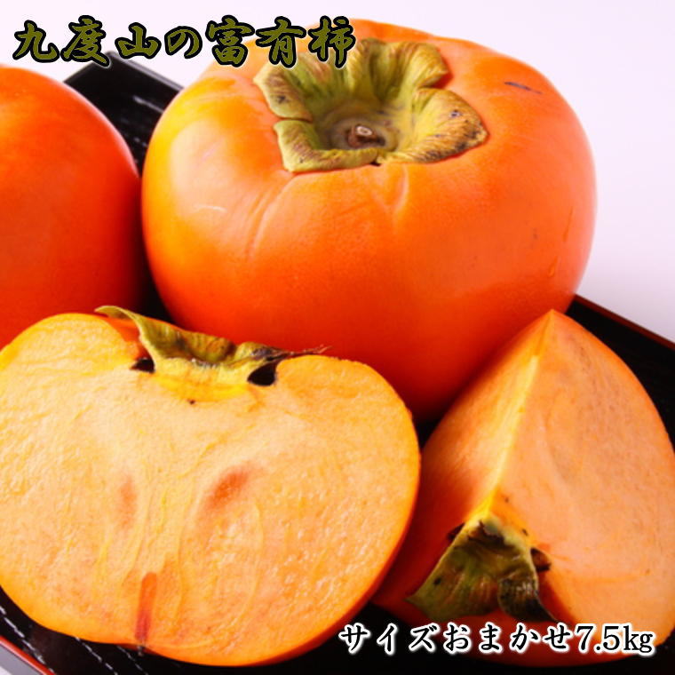 [柿の名産地]九度山の富有柿約7.5kgサイズおまかせ※2025年11月上旬〜2025年12月上旬頃に順次発送(お届け日指定不可)