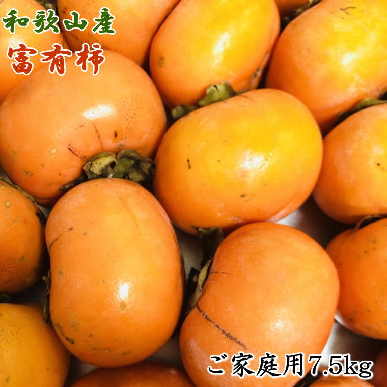 【ふるさと納税】和歌山産富有柿ご家庭用約7.5kg※2024年11月上旬～2024年12月上旬頃に順次発送 （お届け日指定不可）