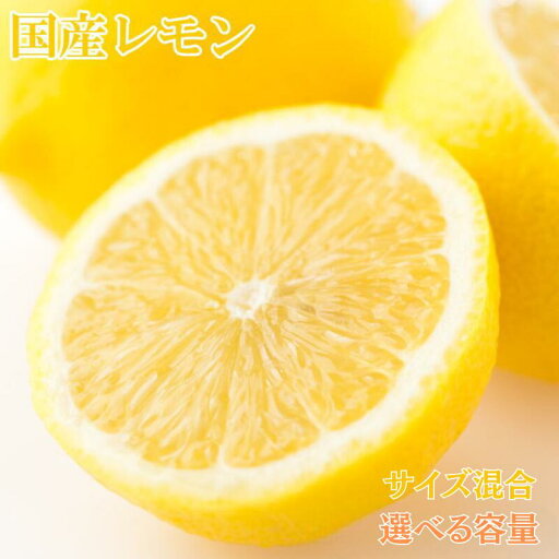 【ふるさと納税】【産直】和歌山産レモン 【選べる容量】約3kg 約5kg(サイズ混合)※2026年3月中旬~2026年5月上旬頃順次発送予定(お届け日指定不可) 【ふるさと納税】【産直】和歌山産レモン 【選べる容量】約3kg 約5kg(サイズ混合)※2026年3月中旬~2026年5月上旬頃順次発送予定(お届け日指定不可)
