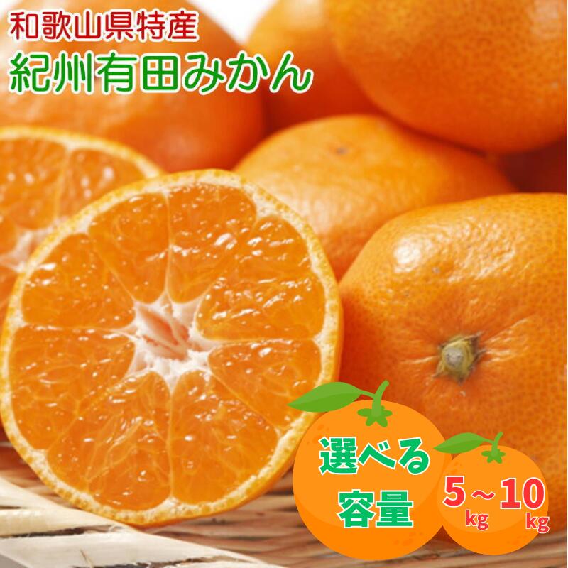 [秀品]和歌山有田みかん [選べる容量]※2025年11月中旬〜2026年1月中旬頃順次発送(お届け日指定不可)/ みかん 有田みかん 和歌山 柑橘 フルーツ
