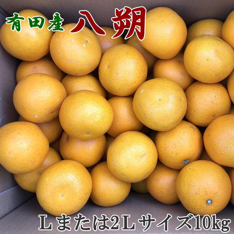 商品詳細 名称： 有田産の八朔 内容量： 1箱約10kg（Lサイズまたは2Lサイズ）　 賞味期限： 出荷日より7日 保存方法： 到着後は、箱から取り出し風通しのよい冷暗所にて保存してください。 発送時期： 2025年1月下旬～2025年2月下旬頃発送予定 配送温度帯： 常温 提供 ティーエムテック 返礼品発送元 ティーエムテック ・ふるさと納税よくある質問は こちら ・寄附申込みのキャンセル、返礼品の変更・返品はできません。あらかじめご了承ください。農家さんが、肥料、水やりなど考えて、少しでもおいしくなるようにまごころこめて栽培しました。 手選別にて選果・チェック・箱詰めを行っております。 独特の苦みと酸味があるものの、この甘酸っぱさがお好きな方も多く、根強い人気のある有田のさわやか柑橘を是非とも召し上がって下さい。 本規格は、小玉好きの方におすすめです。 ※画像はイメージです。 ※天候等により、発送日が前後する可能性があります事をご理解下さい。 ※皮が固い時は酸味も強めですが、保存して頂くと、柔らかくなり、甘みも増してきます。 ※サイズは、Lサイズ、2Lサイズいずれかおまかせでのお届けとなります。 ※収穫後にまとめて出荷になるため、配達日はご指定いただけません。 ※予期せぬ天候不順や自然災害などにより良品確保が困難な場合、代替品への変更をお願いする場合がございます。予めご了承ください。 【こちらのお礼品は湯浅町と紀美野町との共通返礼品となります〔出荷元：株式会社ティーエムテック(和歌山厳選館)〕】 平成31年総務省告示第179号第5条第8号イ「市区町村が近隣の他の市区町村と共同で前各号いずれかに該当するものを共通の返礼品等とするもの」に該当する返礼品として、湯浅町と紀美野町と合意したものです。 【注文内容確認画面の「注文者情報」を寄附者の住民票情報とみなします】 ・必ず氏名・住所が住民票情報と一致するかご確認ください。 ・受領書は住民票の住所に送られます。 ・返礼品を住民票と異なる住所に送付したい場合、注文内容確認画面の「送付先」に返礼品の送付先をご入力ください。 ※「注文者情報」は楽天会員登録情報が表示されますが、正確に反映されているかご自身でご確認ください。