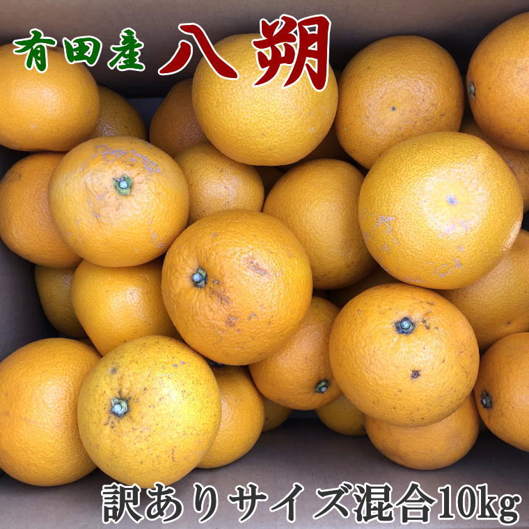 【ふるさと納税】【手選果・訳あり】有田産の八朔10kg（サイズ混合）＜2025年1月下旬～2025年2月下旬頃に順次発送＞(お届け日指定不可)