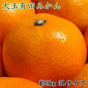 【ふるさと納税】【食べごたえ十分】有田みかん大玉 9kg(3Lサイズ・秀品)※2025年11月中旬~2026年1月中旬頃順次発送(お届け日指定不可)(4)