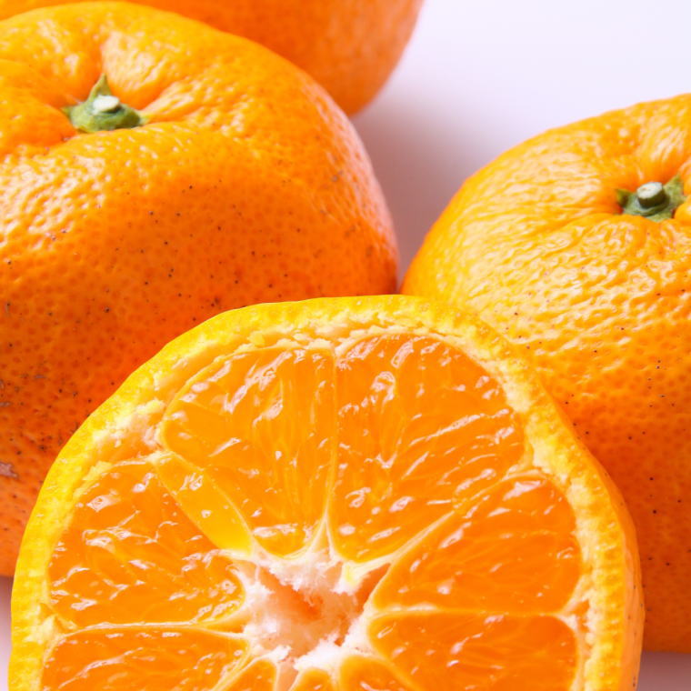 【ふるさと納税】【訳あり】和歌山下津みかん 約10kg ご家庭用 向け ( サイズ混合 )※2026年11月中旬～2027年1月中旬頃に順次発送/ ミカン みかん フルーツ くだもの 果物 柑橘 和歌山 オレンジ