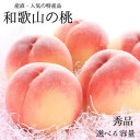 【ふるさと納税】【選べる容量】和歌山の桃 秀品 【選べる容量】 ※2026年6月下旬~2026年8月上旬頃順次発送(お届け日指定不可) /もも モモ 桃 フルーツ 果物 人気 旬