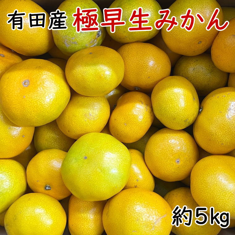 有田産極早生みかん約5kg(サイズ混合)[2025年10月中旬〜2025年11月上旬頃発送予定](お届け日指定不可) / みかん 柑橘 ミカン 有田 有田みかん 早生みかん 極早生