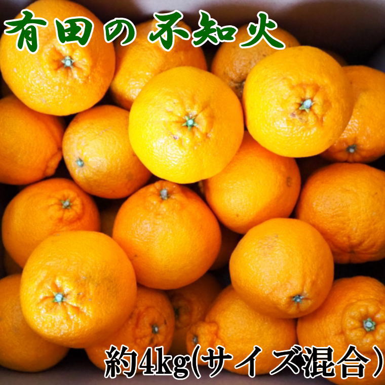 [先行予約][濃厚]有田産不知火約4kg(2L〜5Lサイズ混合) ※ 2025年2月中旬〜2025年3月上旬頃発送予定(お届け日指定不可)