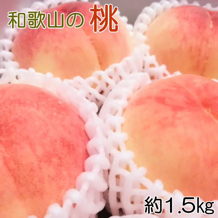 【ふるさと納税】【産直・人気の特産品】和歌山の桃　約1.5kg ※2024年6月下旬頃から8月上旬頃順次発送 /桃 和歌山 モモ もものサムネイル