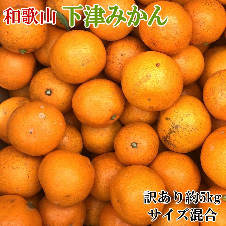 [訳あり]和歌山下津みかん約5kgご家庭用向け(サイズ混合) ※2024年11月中旬〜1月中旬頃順次発送予定(お届け日指定不可)