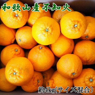 和歌山県産不知火約4kg（サイズ混合）　※2025年2月下旬～2025年3月中旬頃発送予定（お届け日指定不可）