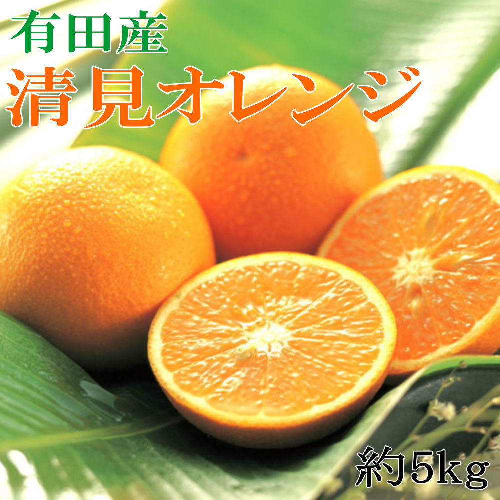 38位! 口コミ数「0件」評価「0」【濃厚】有田産清見オレンジ約5kg（サイズおまかせ 青秀以上）※2025年2月中旬～2025年3月中旬頃発送（日付指定不可）