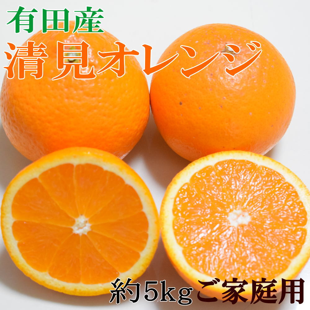 【ふるさと納税】【濃厚】有田産清見オレンジ約5kg(M～3Lサイズおまかせ)ご家庭用※2025年2月中旬～2025年3月中旬頃発送（日付指定不可）