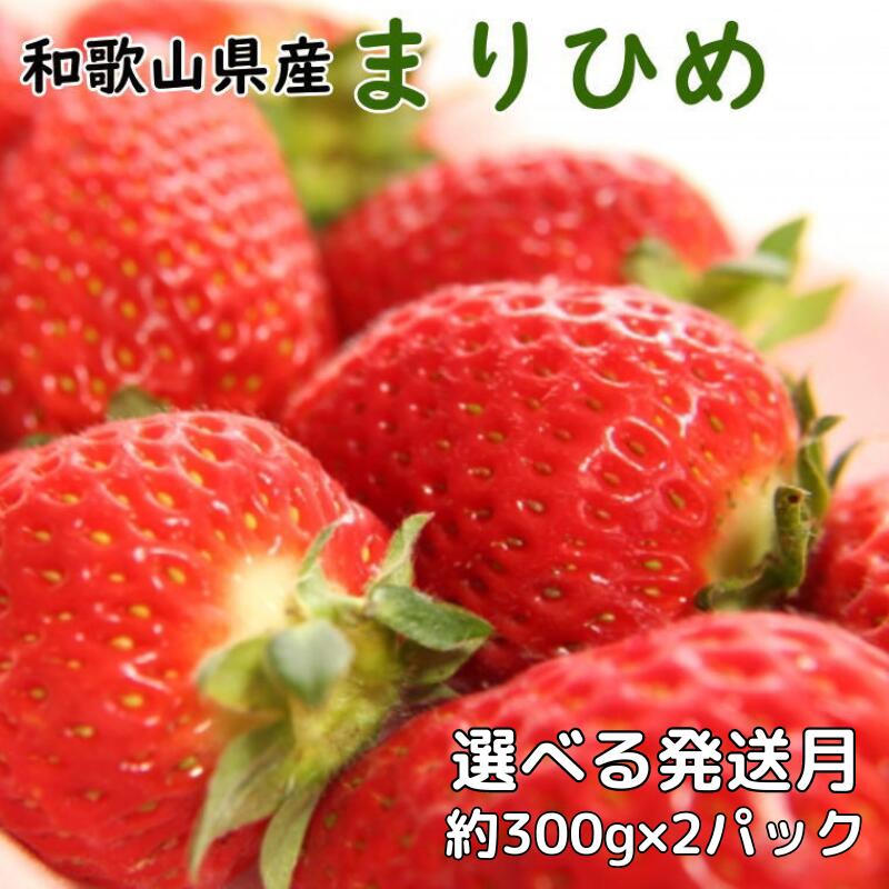 いちご 和歌山県産ブランドいちご「まりひめ」約300g×2パック入り [選べる発送月] [3月〜5月発送](お届け日指定不可)イチゴ 苺 まりひめ 和歌山 オリジナル 甘味 濃厚 ジューシー