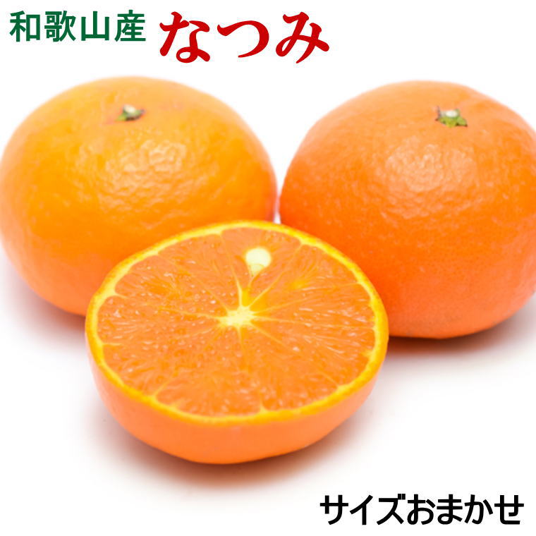 [希少柑橘]和歌山県産なつみ約5kg(S〜2Lサイズおまかせ)※2026年4月上旬〜2026年4月下旬頃順次発送(お届け日指定不可)