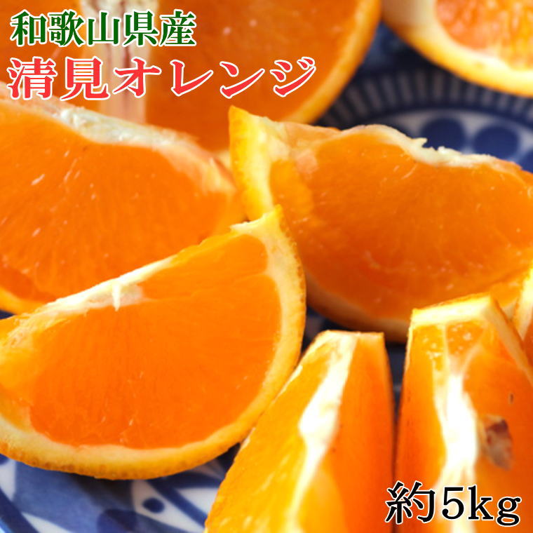 和歌山県産清見オレンジ約5kg(サイズ混合)※2026年3月中旬〜2026年4月上旬頃に順次発送 / みかん 果物 柑橘 有田みかん ミカン オレンジ 和歌山