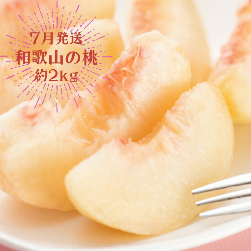 【ふるさと納税】【3か月定期便】夏のいいとこどりフルーツ定期便♪桃・ピオーネ・シャインマスカット