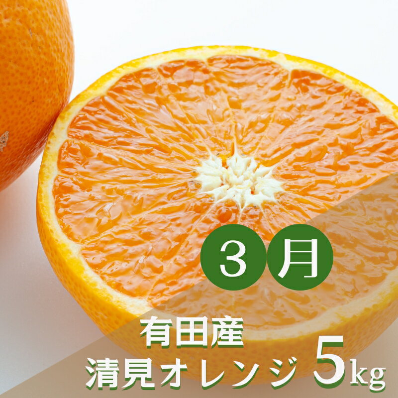 【ふるさと納税】【3か月定期便】和歌山産直！人気の春柑橘定期便♪不知火・清見オレンジ・八朔
