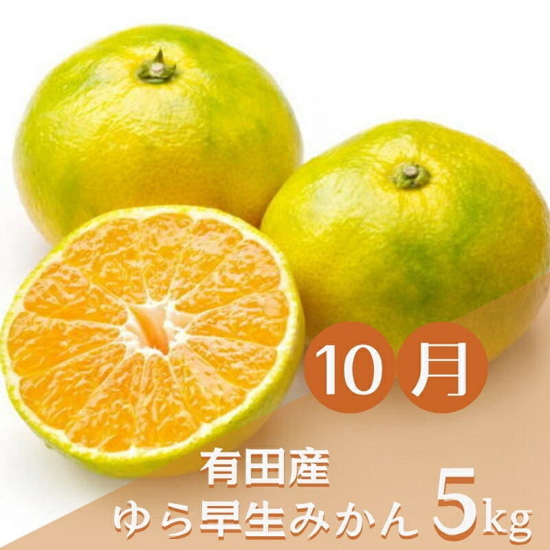 【ふるさと納税】【3か月定期便】みかんの名産地和歌山発！秋のみかん定期便♪ゆら早生みかん・下津みかん・有田みかん