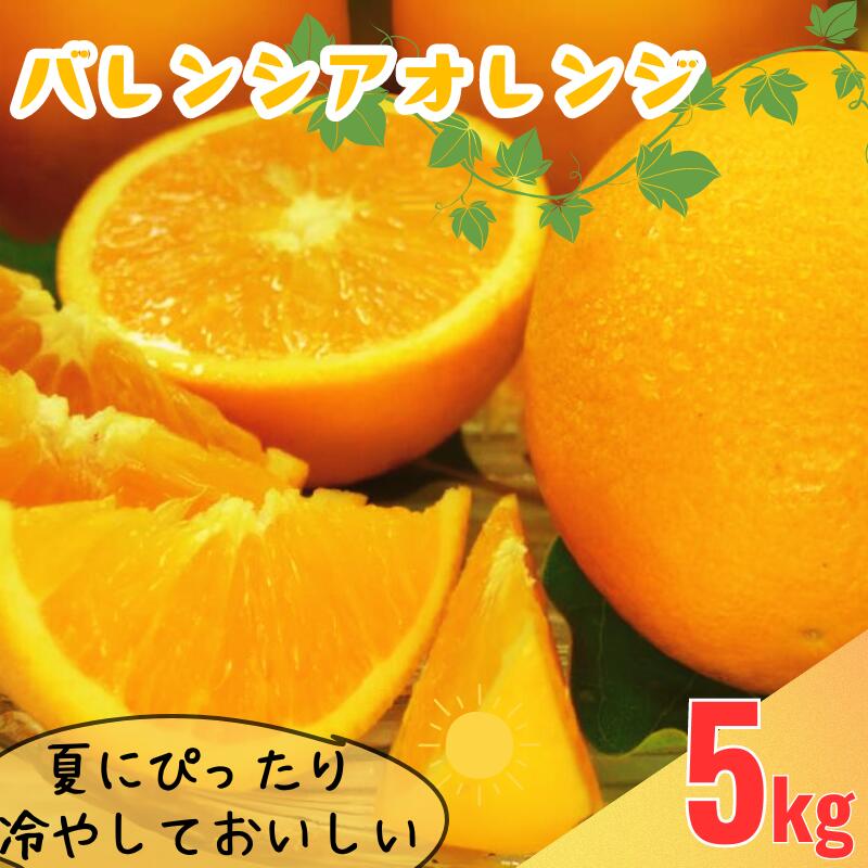 【ふるさと納税】バレンシアオレンジ[約5kg]湯浅町田村産春みかん春かんきつ(無選別・果実サイズ混合) 紀伊国屋文左衛門本舗　※2025年6月中旬〜7月下旬頃に順次発送予定(お届け日指定不可)