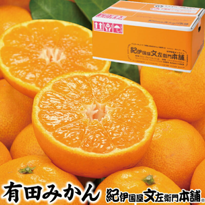 【ふるさと納税】ブランド有田みかん 秀品5キロ サイズお任せ/紀伊国屋文左衛門本舗 ※2025年10月下旬〜2026年1月中旬頃発送予定(お届け日指定不可)※品種おまかせ。極早生、早生、中生、晩生みかんのいずれかをお届け【予約受付】