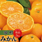 【ふるさと納税】【先行予約】田村みかん　秀品5キロ　サイズおまかせ/紀伊国屋文左衛門本舗　◆2024年11月下旬〜2025年1月中旬頃に発送(お届け日指定不可) / みかん 蜜柑 くだもの フルーツ 果物 柑橘 先行予約