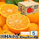 【ふるさと納税】【予約受付】田村みかん 5kg 秀品【選べるサイズ】/紀州和歌山有田郡湯浅町田村地区産 ◆2025年11月下旬~2026年1月中旬頃に発送(お届け日指定不可) 紀伊国屋文左衛門本舗 / みかん 蜜柑 くだもの フルーツ 果物 柑橘 先行予約