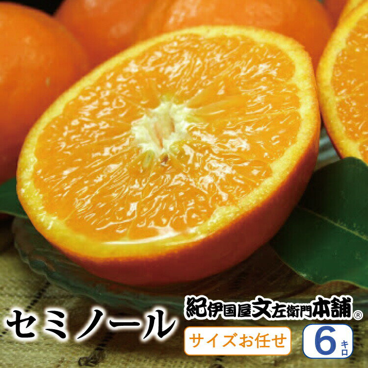 【ふるさと納税】セミノールオレンジ 約6kg/サイズおまかせ　※2023年4月中旬〜5月下旬頃に順次発送予定(お届け日指定不可)　紀伊国屋文左衛門本舗