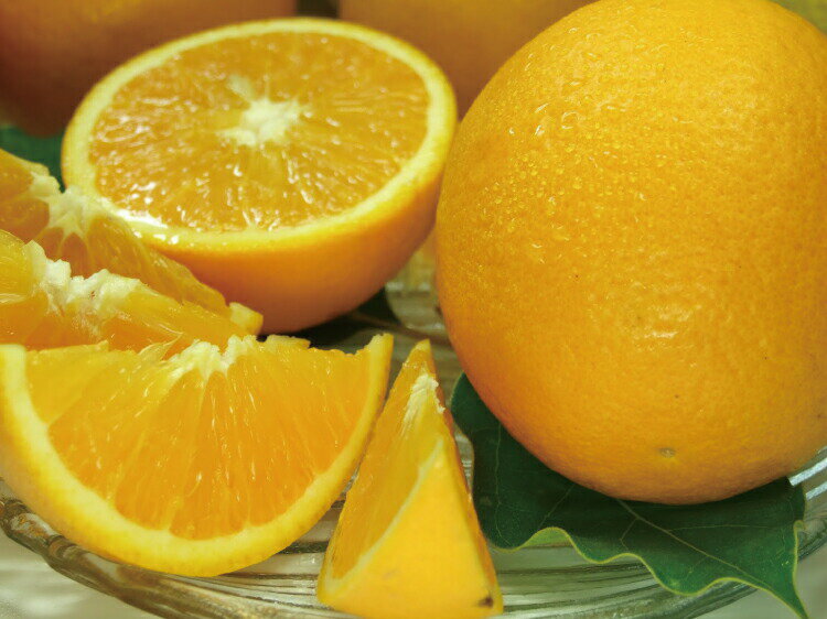 【ふるさと納税】バレンシアオレンジ[約7kg]湯浅町田村産春