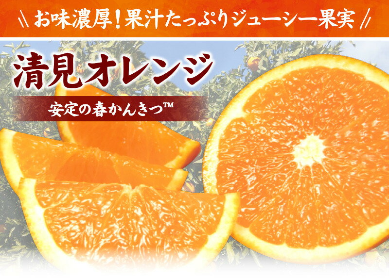 【ふるさと納税】田村産清見オレンジ[約4.5kg]湯浅町田村産春みかん(果実サイズおまかせ)/紀伊国屋文左衛門本舗 ※2026年3月中旬～2026年4月下旬頃発送予定
