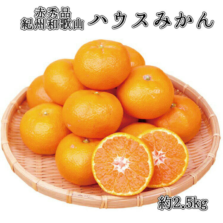 【ふるさと納税】赤秀品　紀州和歌山ハウスみかん2.5kg【予約】※2022年6月下旬〜2022年7月下旬頃に順次発送予定(お届け日指定不可) / みかん 和歌山 紀州 赤秀品 ハウスみかん