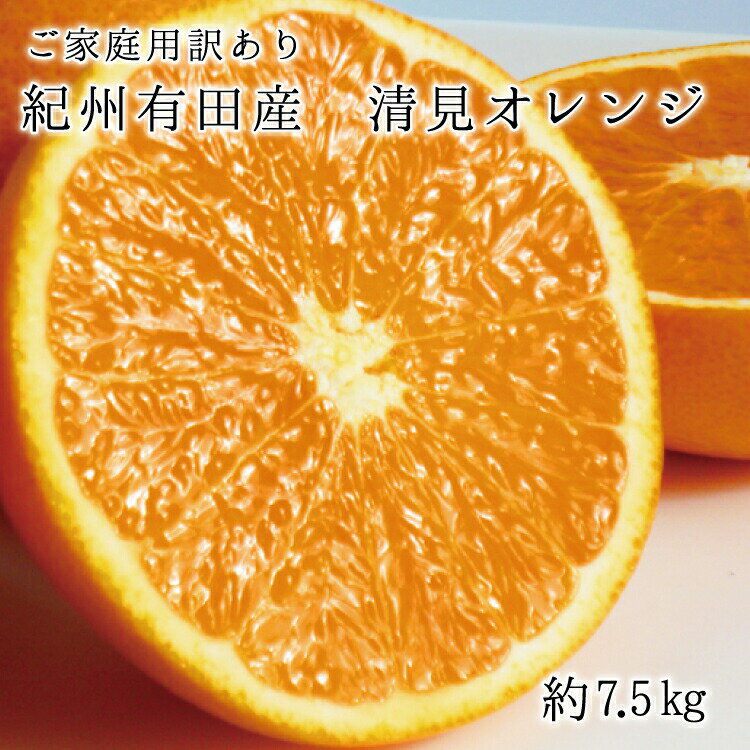 【ふるさと納税】【ご家庭用訳アリ】紀州有田産清見オレンジ　7.5kg ※2025年3月下旬頃〜2025年4月中旬頃に順次発送予定(お届け日指定不可)