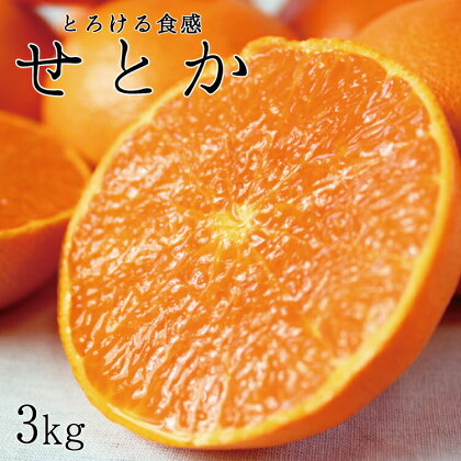とろける食感！ジューシー柑橘　せとか　約3kg ※2025年2月末頃～2025年3月中旬頃発送(お届け日指定不可)