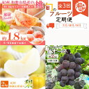 【ふるさと納税】【全3回】紀州和歌山産旬のフルーツ定期便 (桃・梨・ピオーネ)