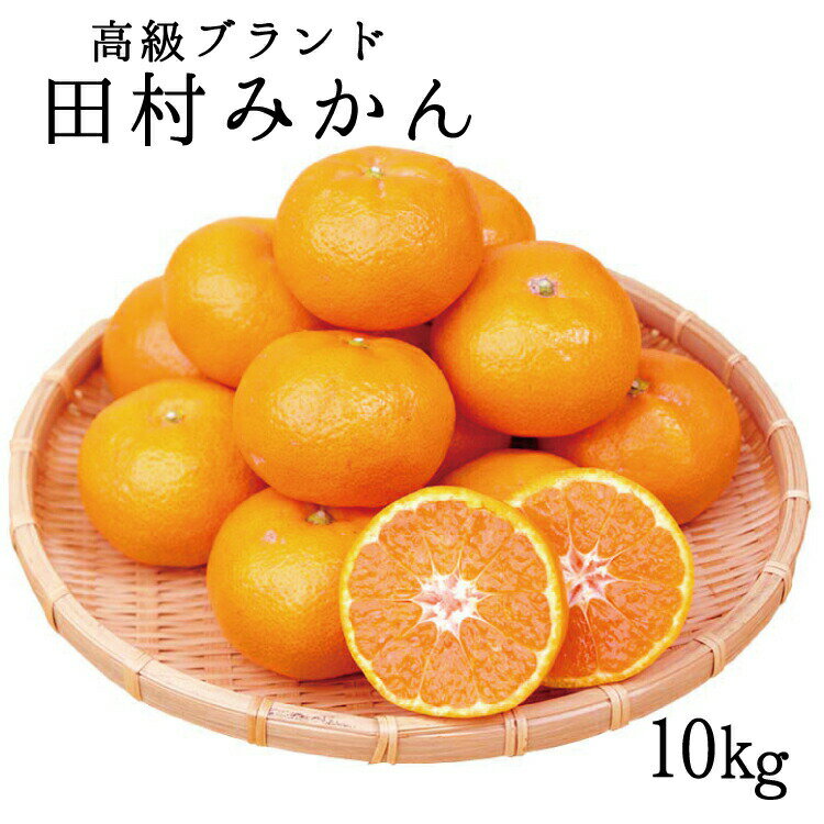 【ふるさと納税】高級ブランド田村みかん　10kg【予約】※2024年11月下旬頃～2025年1月下旬頃に順次発送予定(お届け日指定不可) / 先行予約 みかん 有田 濃厚 完熟 田村