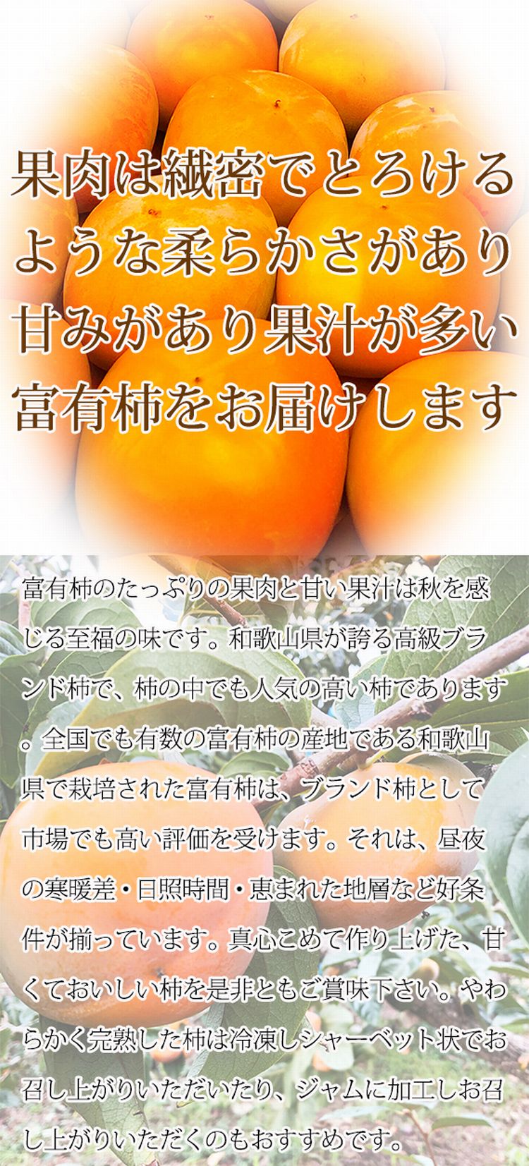 【ふるさと納税】和歌山秋の味覚　富有柿　約4kg　化粧箱入　※2024年11月上旬頃〜2024年11月下旬頃発送予定（お届け日指定不可） / 柿 フルーツ 先行予約 人気 果肉 果汁